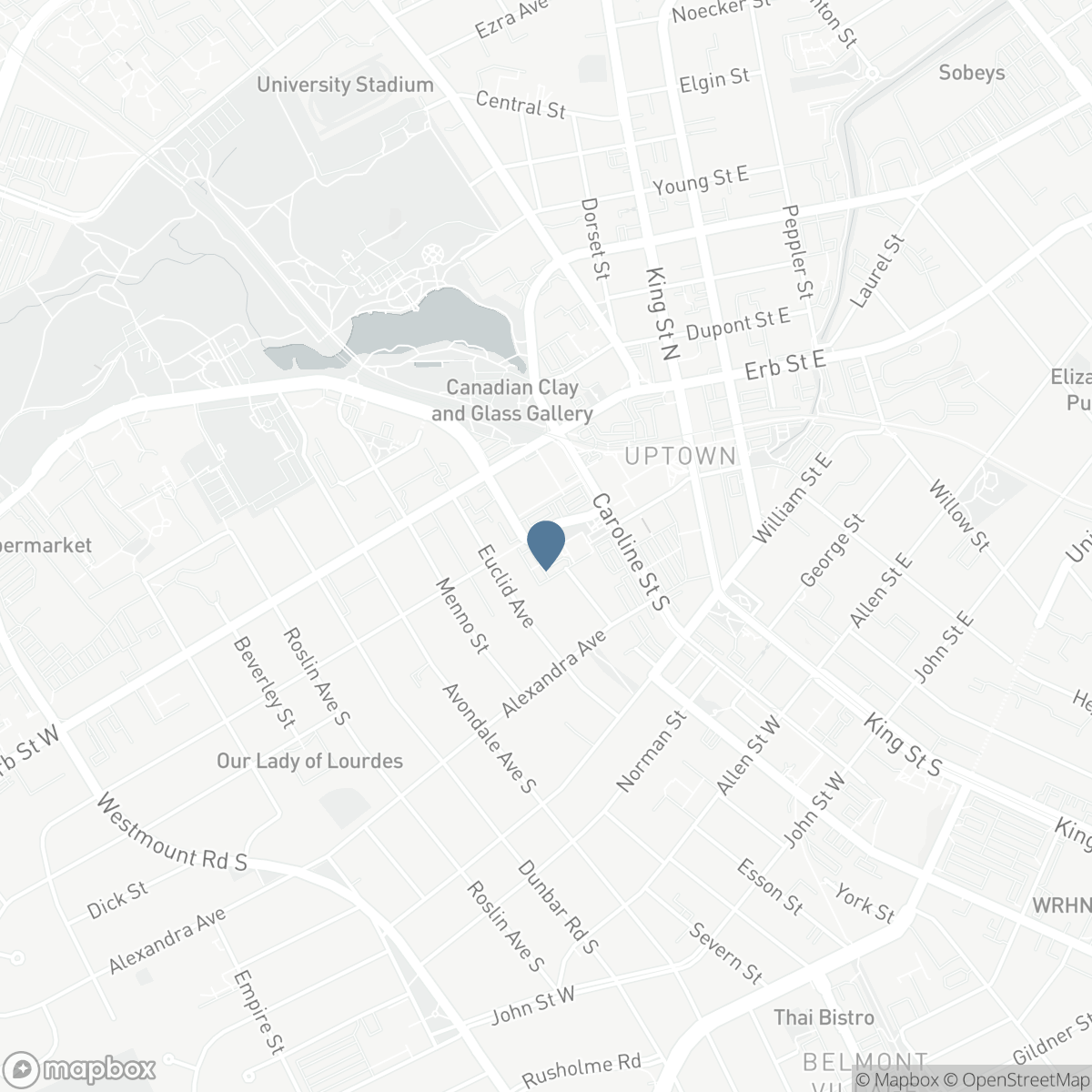 5 FATHER DAVID BAUER Drive Unit# 308, Waterloo, Ontario N2L 6M2